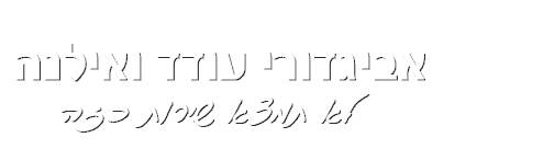 אביגדורי עודד ואילנה